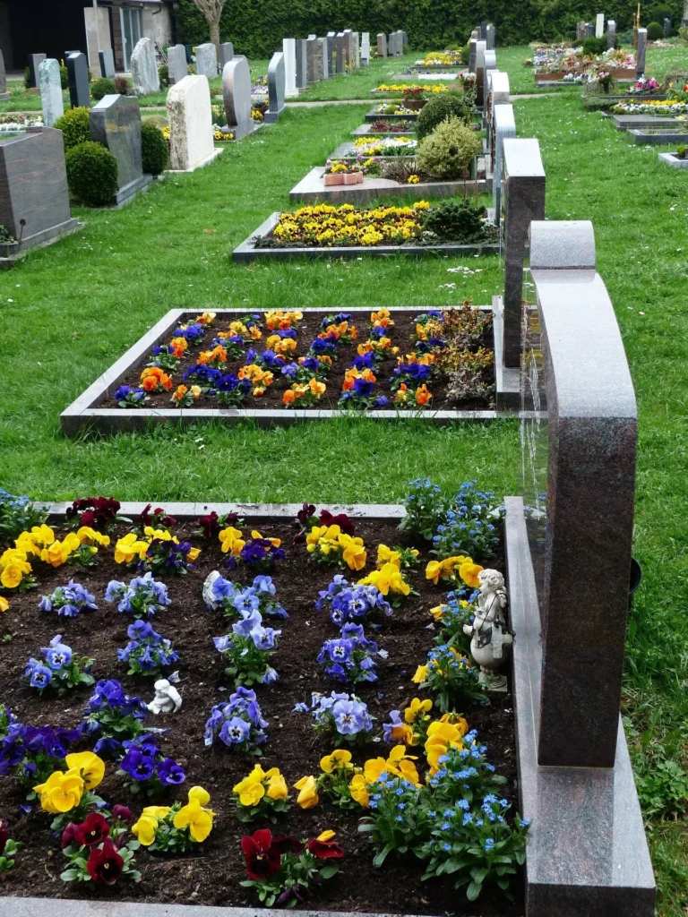 Tombes de cimetière arborées avec parterres de pensées multicolores et petites statues d'anges.